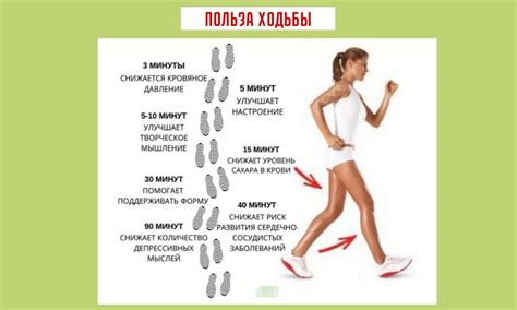 Как выбрать ковер по материалу