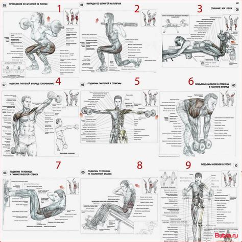 Эффективные методы тренировок для поддержания здоровья