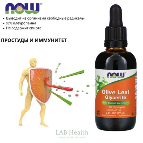 Как выбрать ковер по материалу