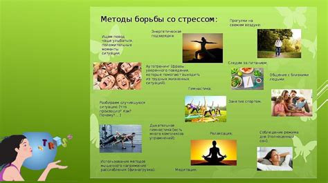 Как выбрать ковер по материалу