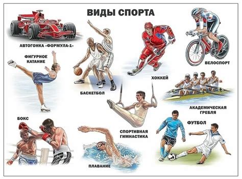 Как выбрать ковер по материалу