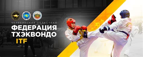 Как выбрать ковер по материалу