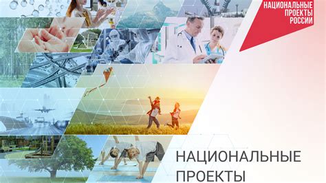 Как выбрать ковер по материалу