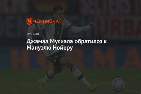 Как выбрать ковер по материалу