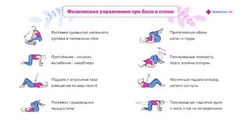 Профилактика боли в спине: упражнения и советы врачей