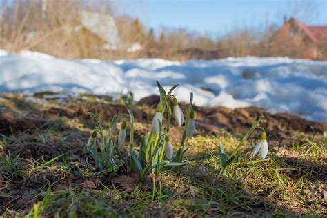 Как выбрать ковер по материалу