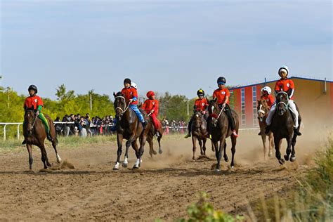 Как выбрать ковер по материалу